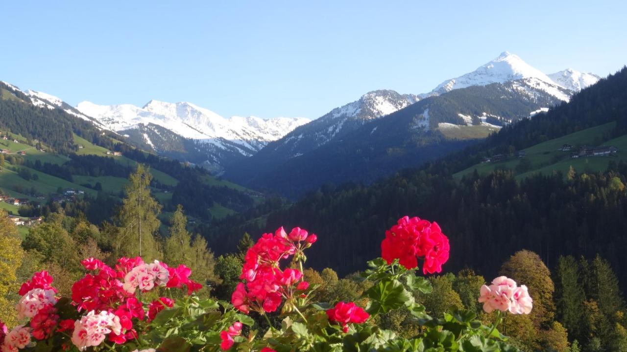Gaestehaus Larch Alpbach Εξωτερικό φωτογραφία