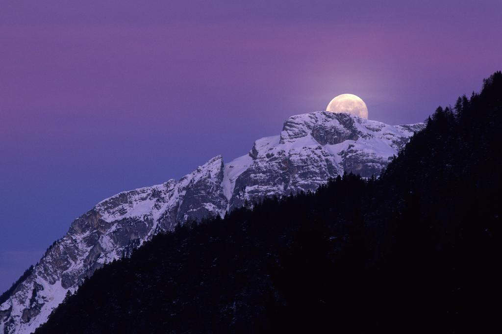 Gaestehaus Larch Alpbach Εξωτερικό φωτογραφία